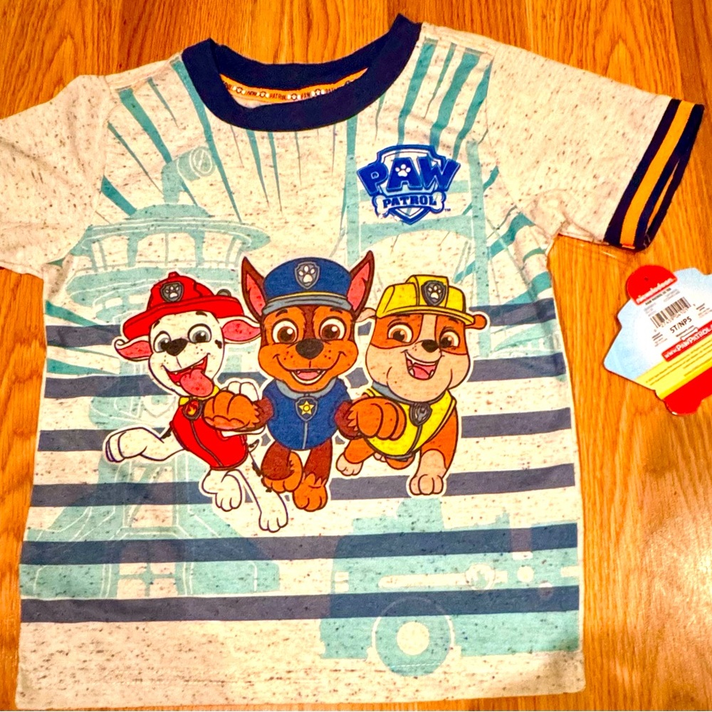 Paw Patrol Boys Gray T-Shirt